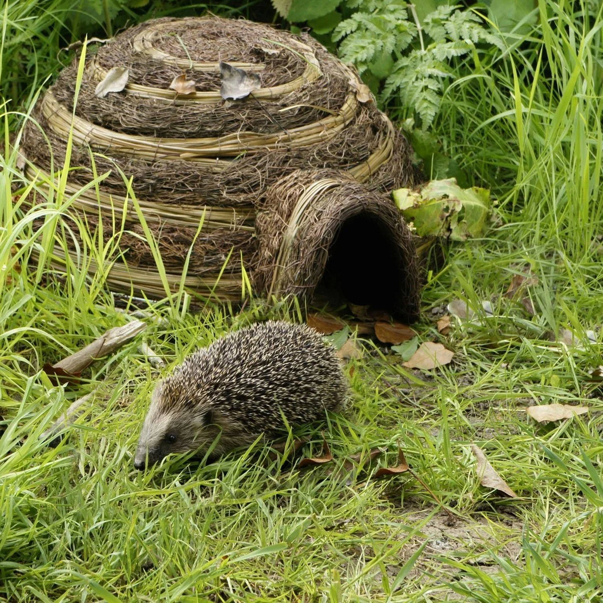 Wildlife World 59cm Igloo Hedgehog Home
