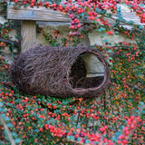Wildlife World Simon King Brushwood Robin Nester