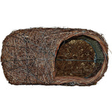 Wildlife World Simon King Brushwood Robin Nester