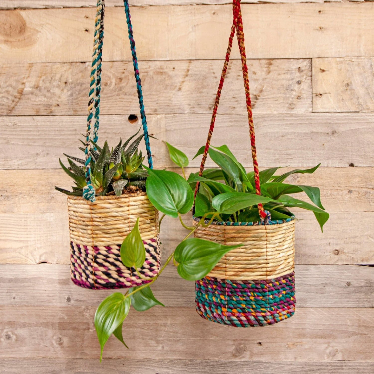 Wildlife World 12cm Small Cylindrical Artisan Hanging Plant Basket (Assorted Colours)