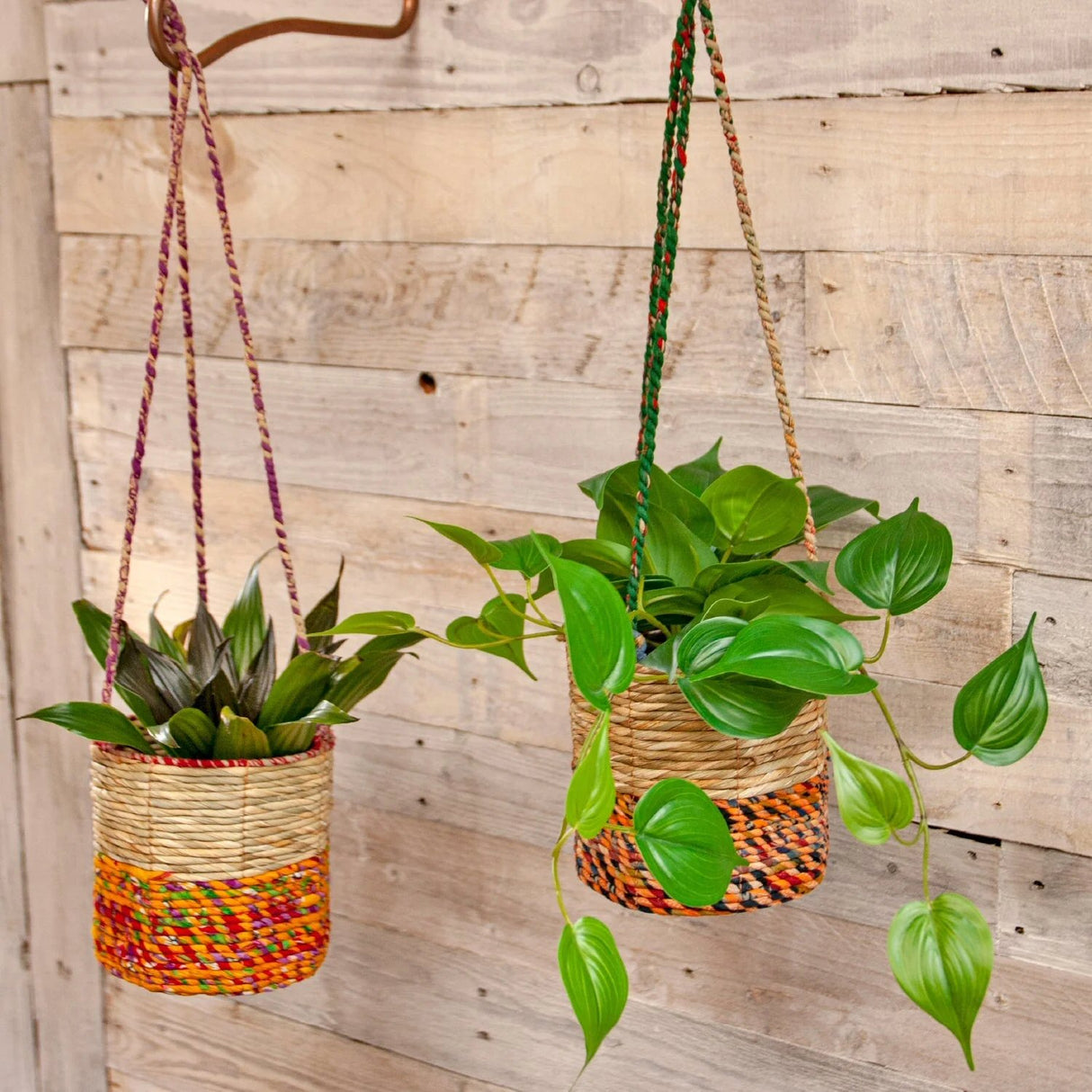 Wildlife World 12cm Small Cylindrical Artisan Hanging Plant Basket (Assorted Colours)