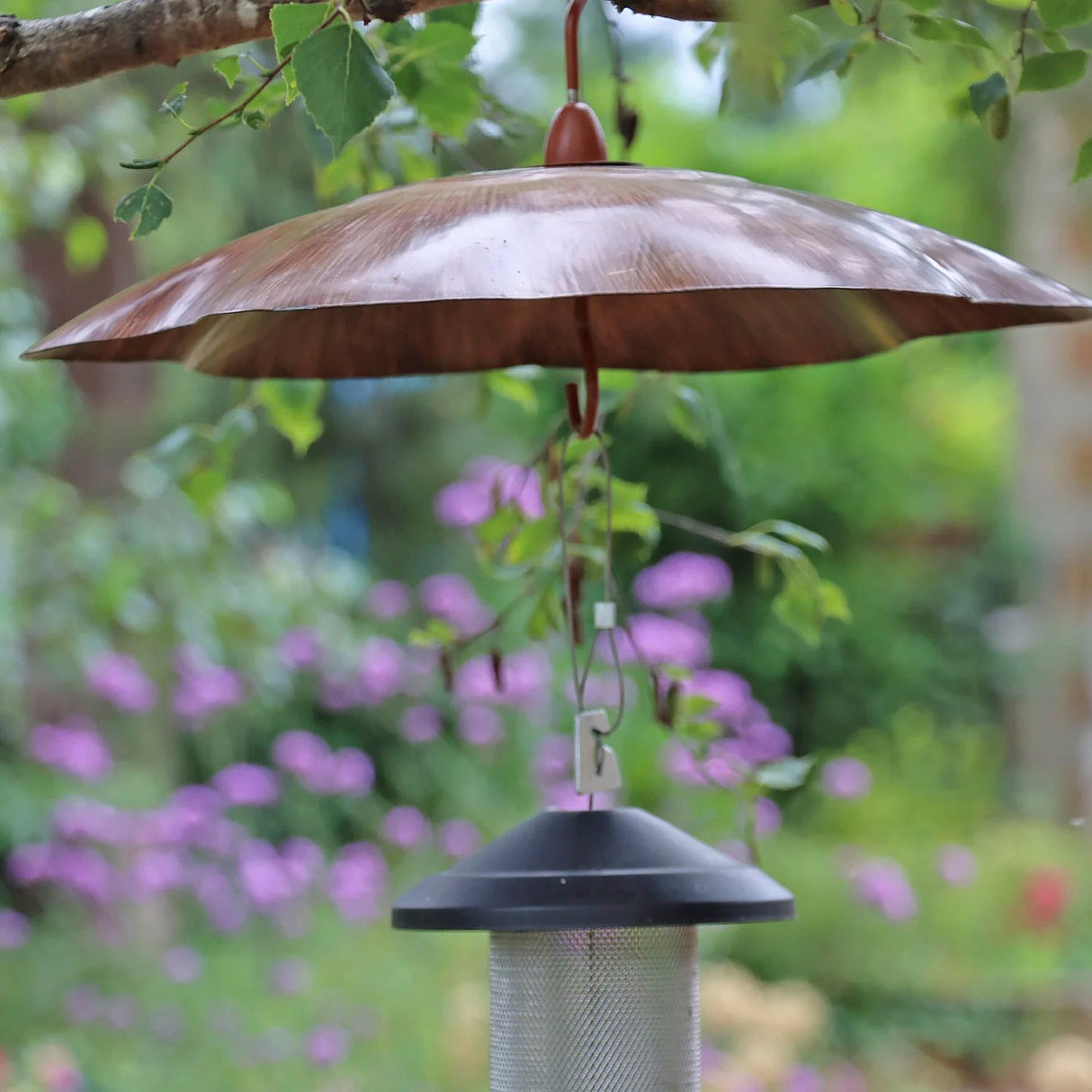 Wildlife World Squirrel Baffle