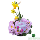 Mother's Day Primrose & Daffodil - Lavender Bowl 19cm