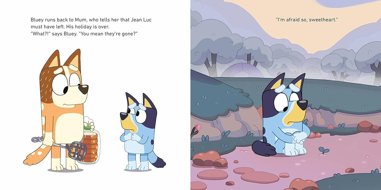 Bluey Camping Children's Book