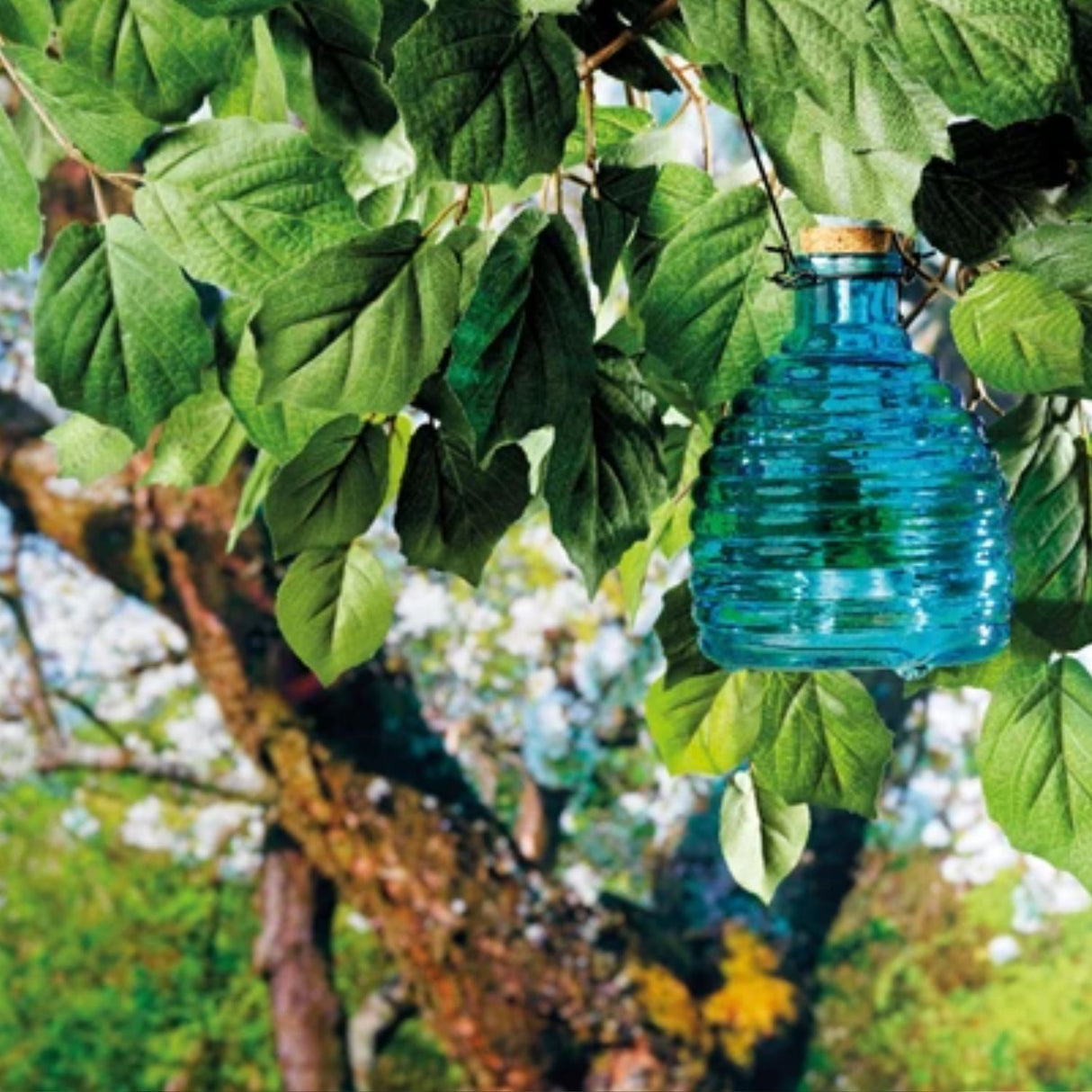 Kaemingk 17cm Glass Wasp Catcher (Choice of 5)