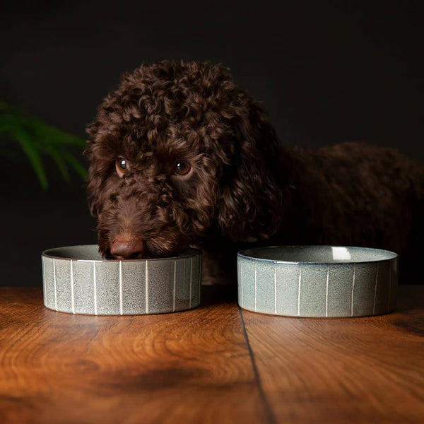 Scruffs 15cm Pinstripe Graphite Reactive Glaze Stoneware Food/Water Pet Bowl