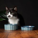 Scruffs Reactive Glaze 13cm  Stonewear Pet Saucer - Pinstripe Graphite