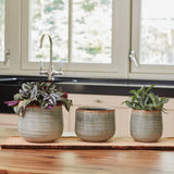 Ivyline 18cm Mint Como Planter