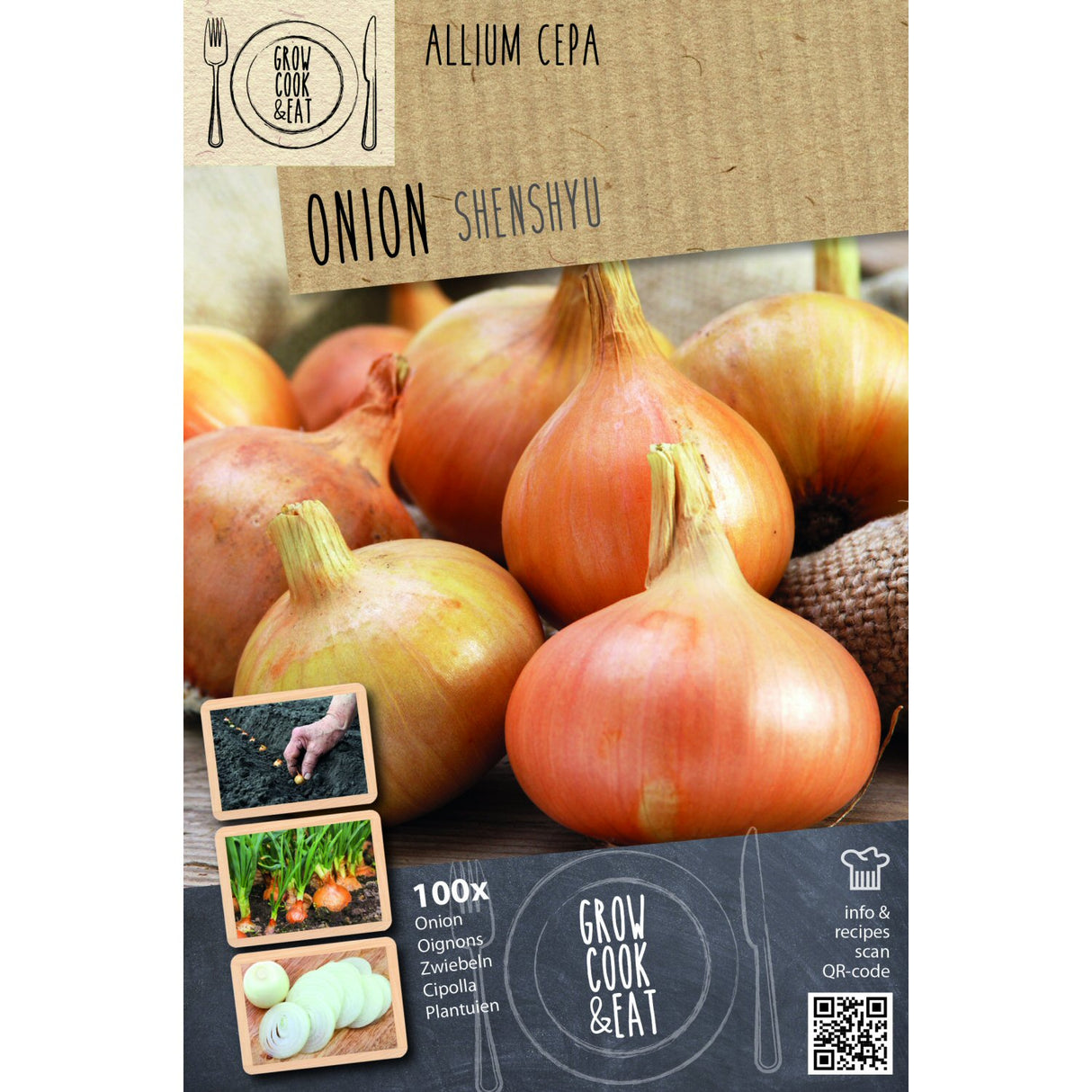Kapiteyn Senshyu Overwinter Yellow Onion Sets