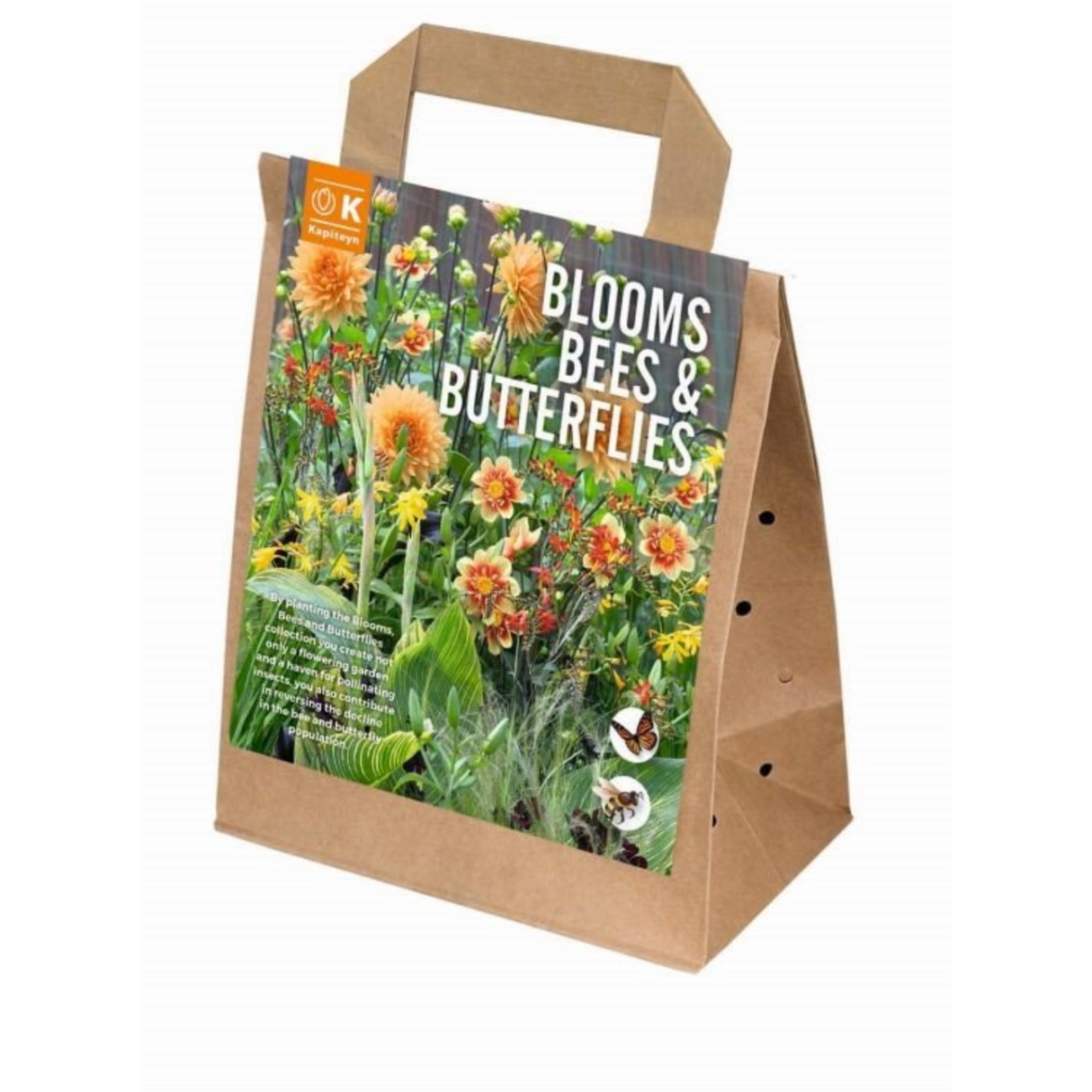 Kapiteyn 30 Blooms, Bee & Butterfly Salm & Orange