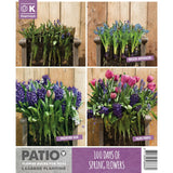 Kapiteyn Pink & Blue Lasagne Planting Patio Flower Spring Flowering Bulbs