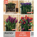 Kapiteyn Red & Purple Lasagne Planting Patio Flower Spring Flowering Bulbs