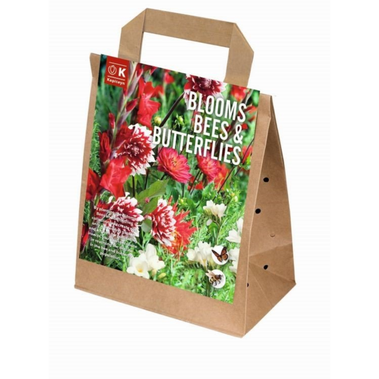 Kapiteyn 30 Bloom Bee & Butterfly Red & White Bulbs