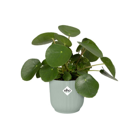 Elho 18cm Sorbet Green Vibes Fold Round Pot