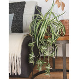 Mica Decorations 45cm Green Chlorophytum Artificial Plant in Pot