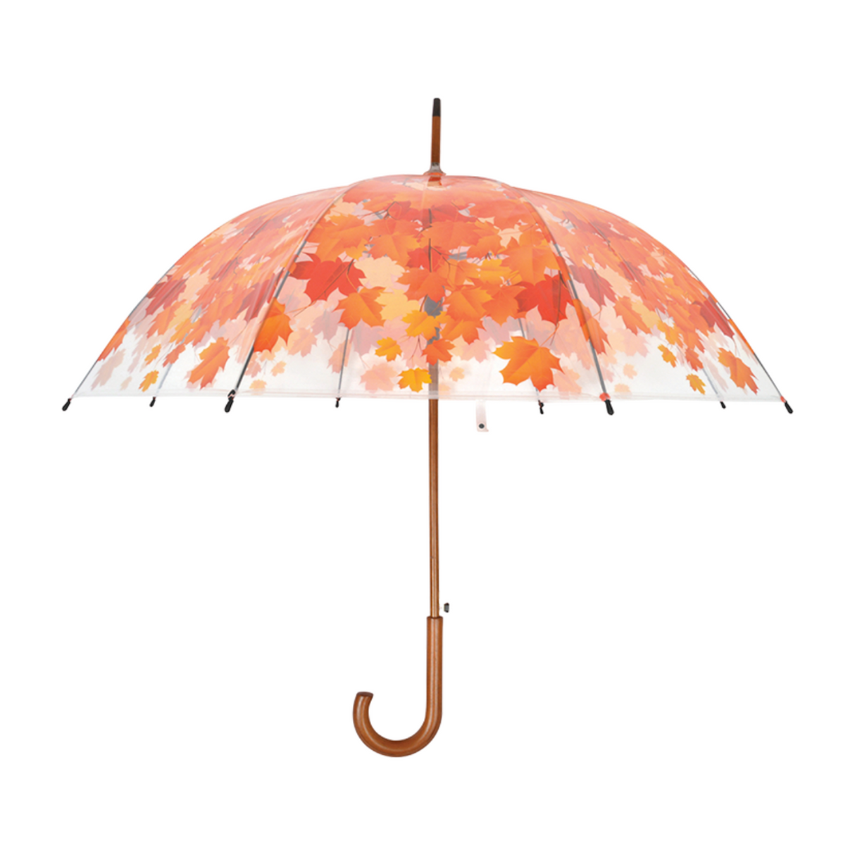 Fallen Fruits 94cm Transparent Autumn Leaves Umbrella