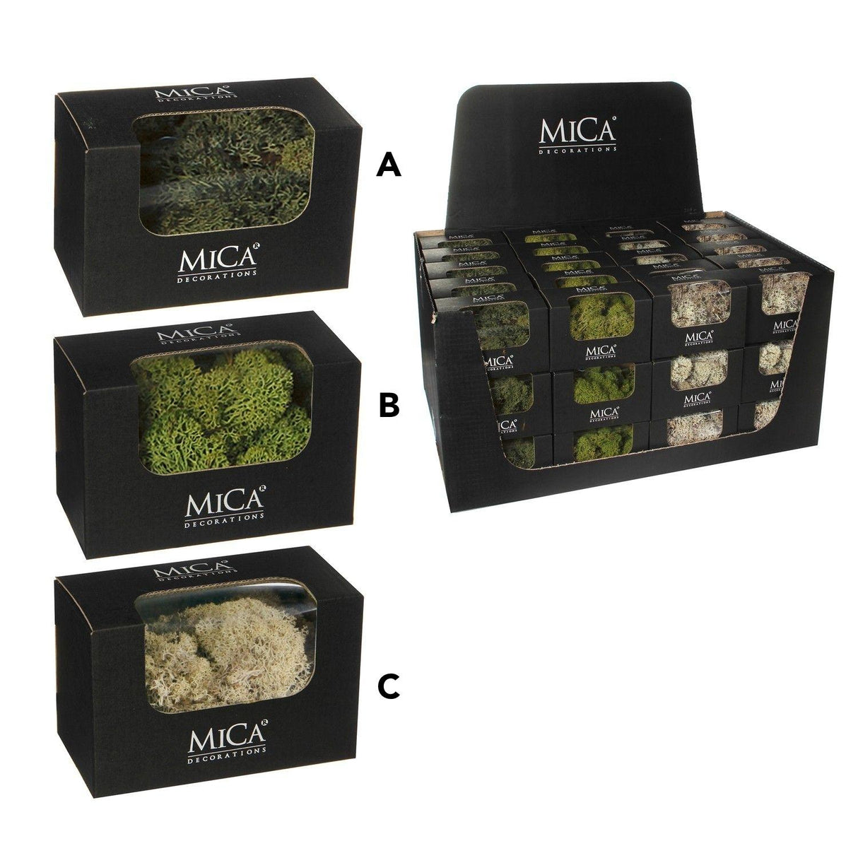 Mica Decorations 50g Decorative Moss (Assorted)