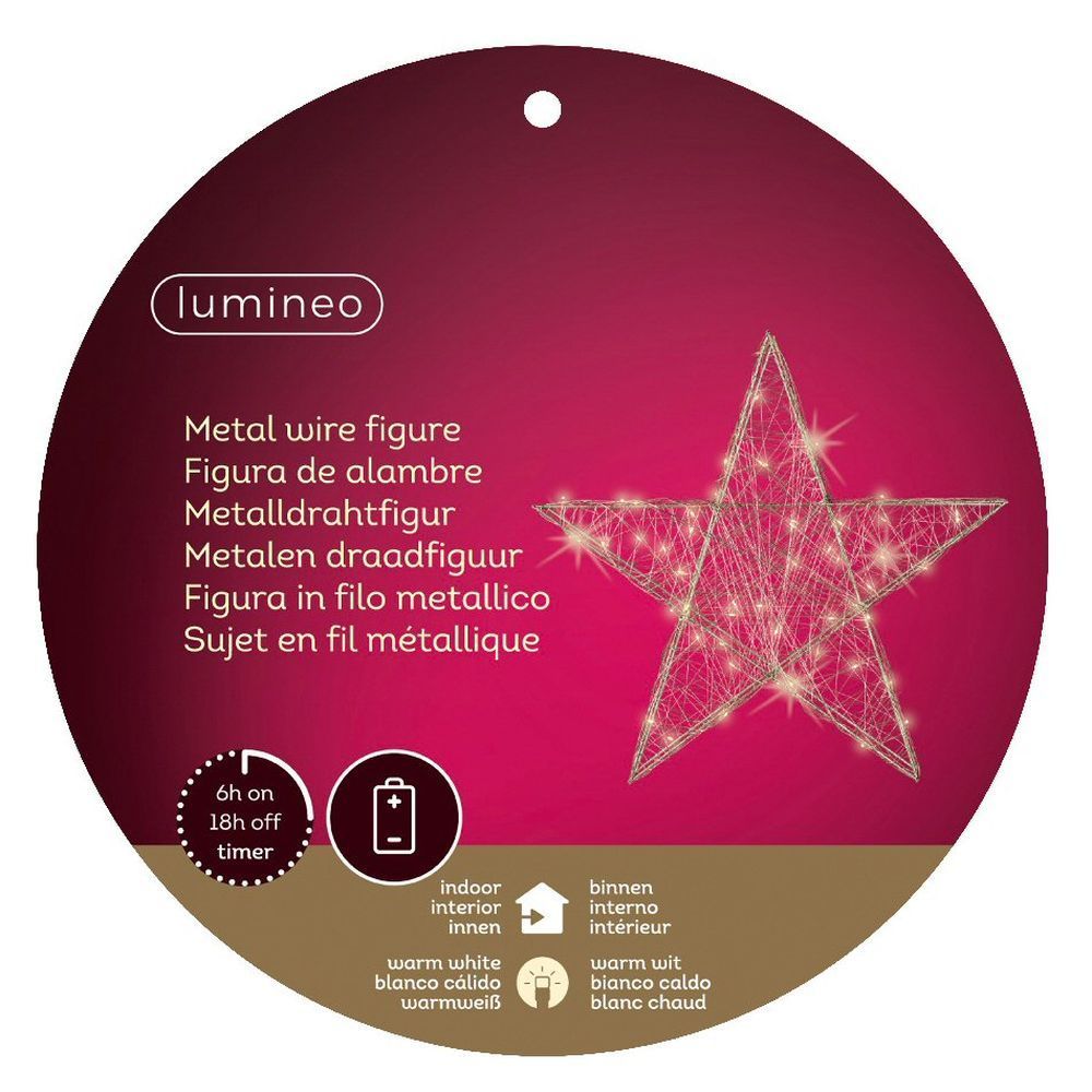 Lumineo 30cm Warm White Micro LED Silver Wire Star