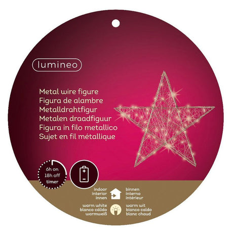Lumineo 30cm Warm White Micro LED Silver Wire Star