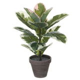 Mica Decorations 47cm Artificial Rubber Plant in Pot