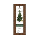 Everlands 2.4m (8ft) Geneva Fir Artificial Christmas Tree