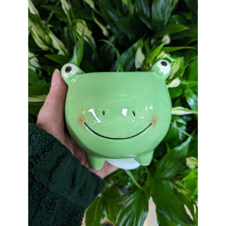 Decoris 9cm Glazed Dolomite Animal Planter (Choice of 4)