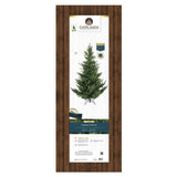 Everlands 2.1m (7ft) Norway Spruce Artificial Christmas Tree