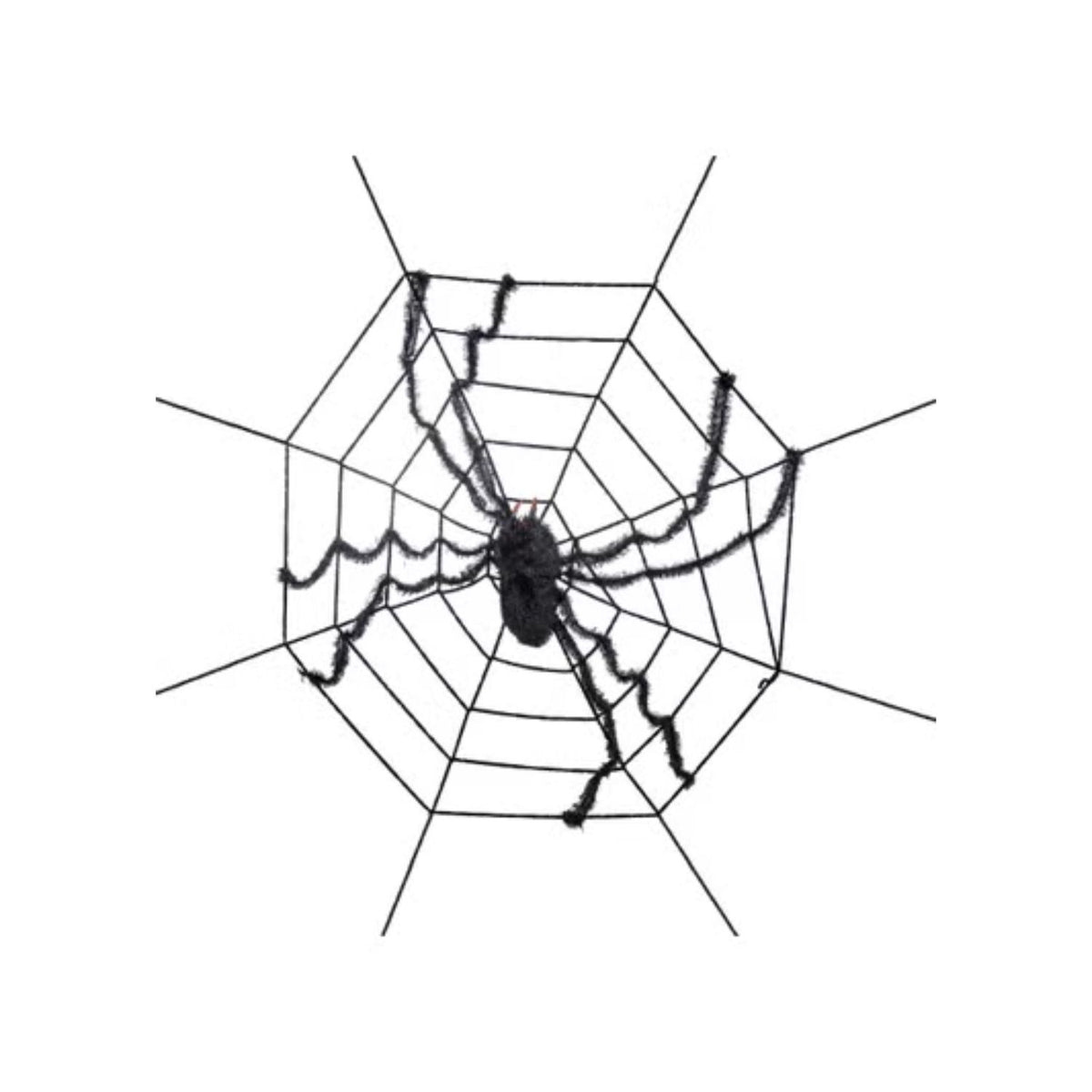 Premier Web with Spider