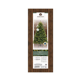 Everlands 2.1m (7ft) Freiburg Pine Pre-Lit Artificial Christmas Tree