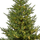 Everlands 2.1m (7ft) Norway Spruce Pre-Lit Artificial Christmas Tree