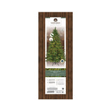 Everlands 2.1m (7ft) Galloway Spruce Pre-Lit Artificial Christmas Tree