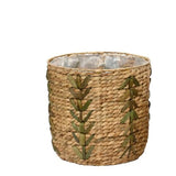 Decoris 28cm Planter Water Hyacinth