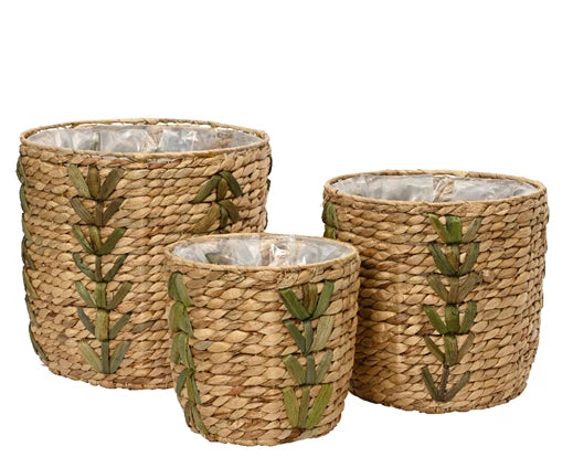 Decoris 28cm Planter Water Hyacinth