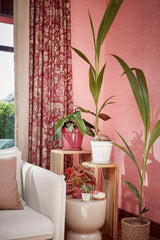 Mica Decorations 21cm Off White Clint Glazed Pot with Saucer - 1163921