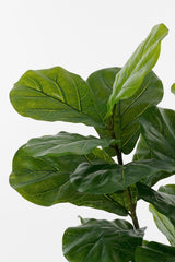 Mica Decorations 150cm Ficus Lyrata Fig Artificial Plant in Pot - 1173046