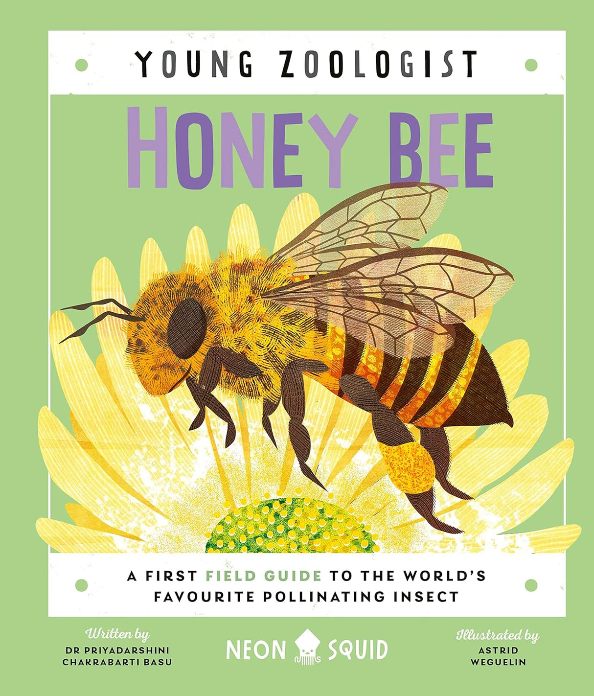 Neon Squid Young Zoologist Honey Bee by Dr Priyadarshini Chakrabarti Basu