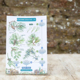 Wildlife World Trees Field Guide