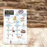 Wildlife World Fungi Field Guide