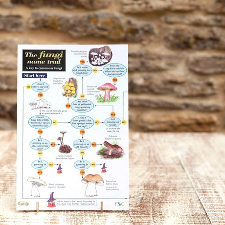 Wildlife World Fungi Field Guide
