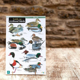 Wildlife World Wetland Birds Field Guide