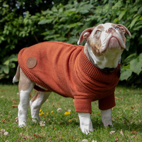 Ancol Terracotta Cable Knit Jumper Small