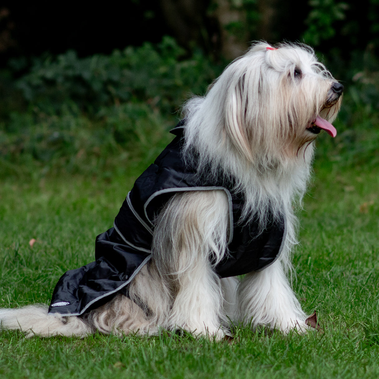Ancol Black Stormguard Dog Coat Small/Medium