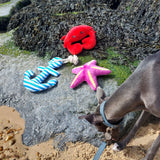 Ancol 28cm Eco-Friendly Recycled Squeeky Dog Toy (Choice of 3)