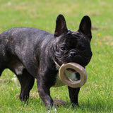 Ancol Eco-Friendly Meaty Chew Toy (Choice of 3)