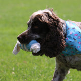 Ancol Eco-Friendly  Rice Husk and Cotton Rope Tugger Dog Toy (Choice of 3)