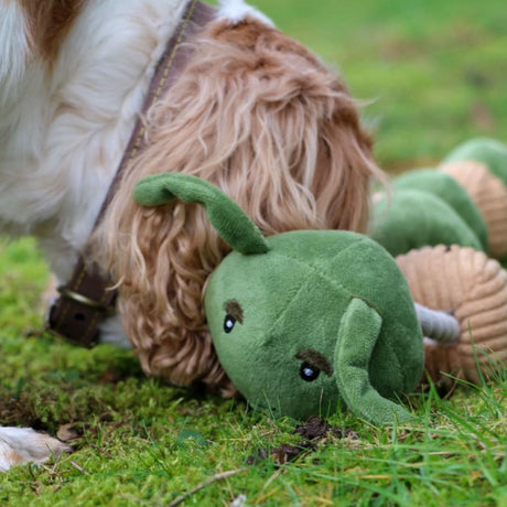 Ancol 75cm  Eco-Friendly Recycled Caterpillar Dog Toy