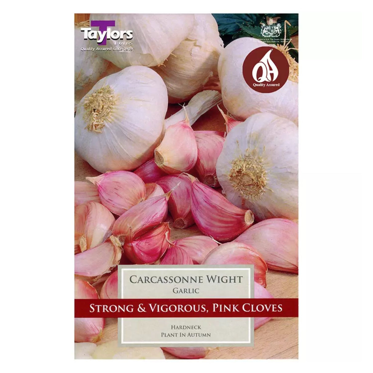 Taylors Carcassonne Wight Garlic Bulb - Pack of 1