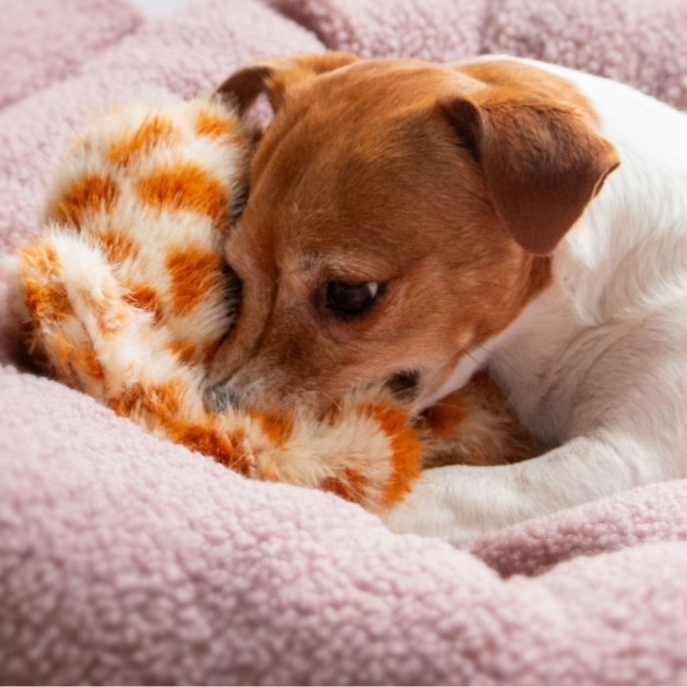 Ancol Cuddle Giraffe Floppet (Silent)