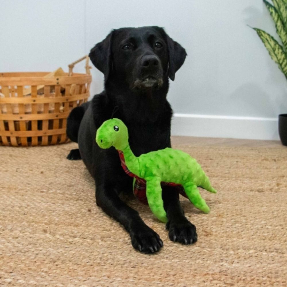 Ancol Cuddle Lottie Lochness Monster