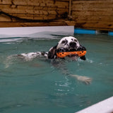 Ancol Extreme Floating Dumbell Dog Toy